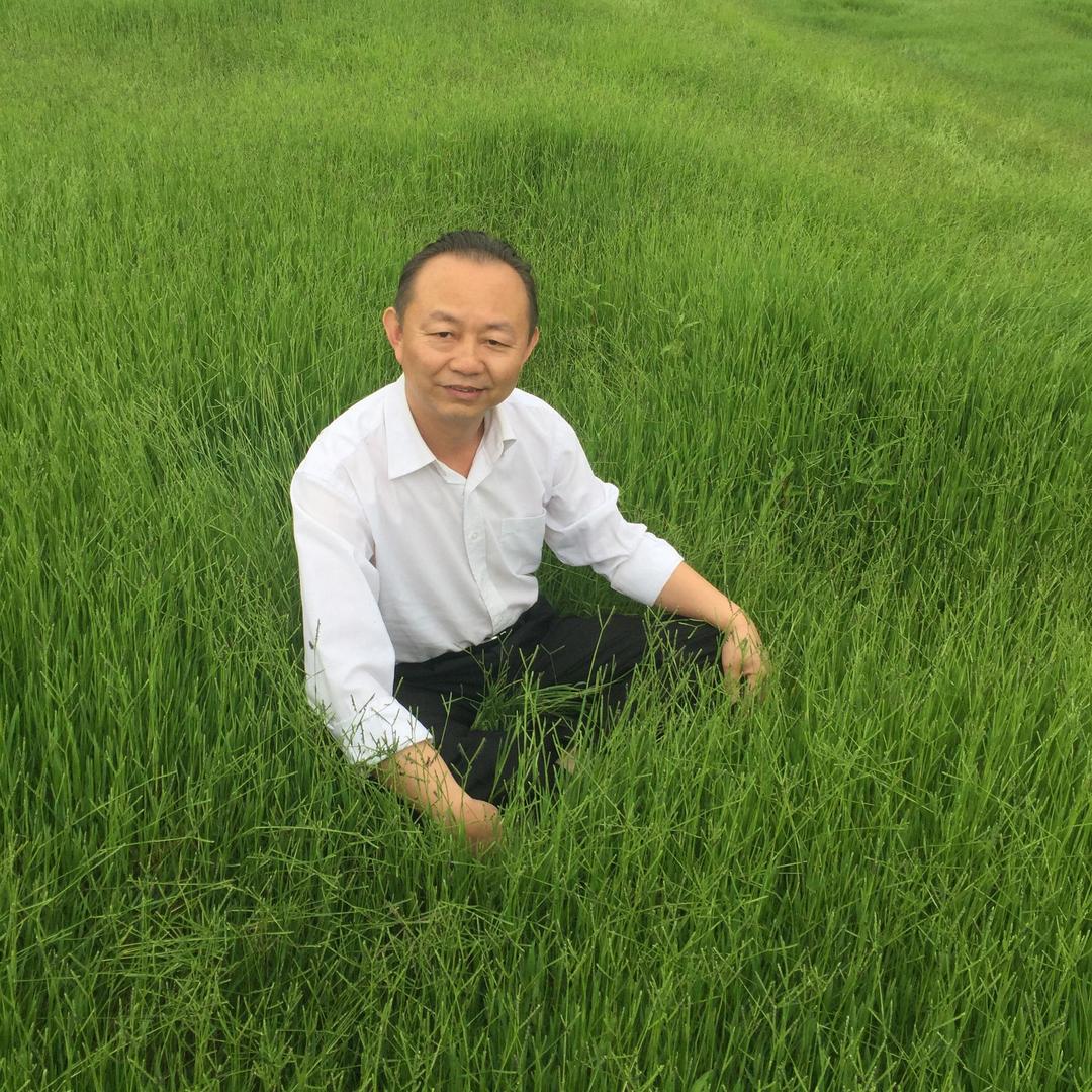 宣威火腿