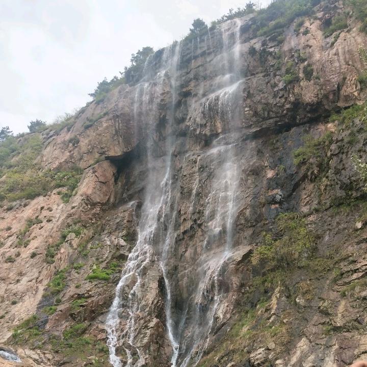 东哥