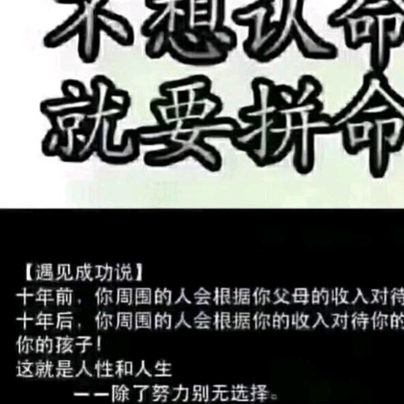 持印哥