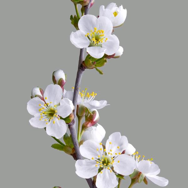 小丫丫玩具批发零售