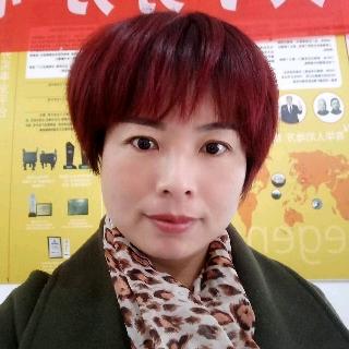 何琴