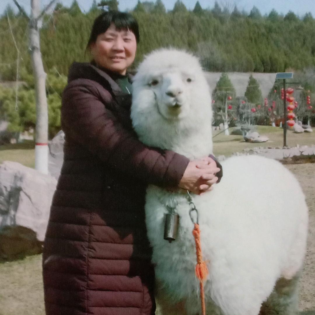 幸福妈妈