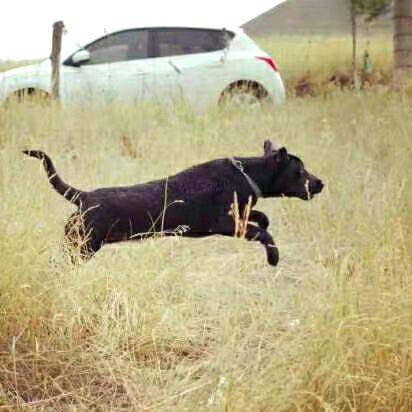 卷宝的妈咪叫静静