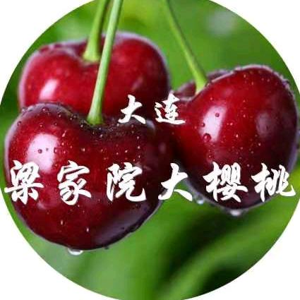 大连梁家院大樱桃