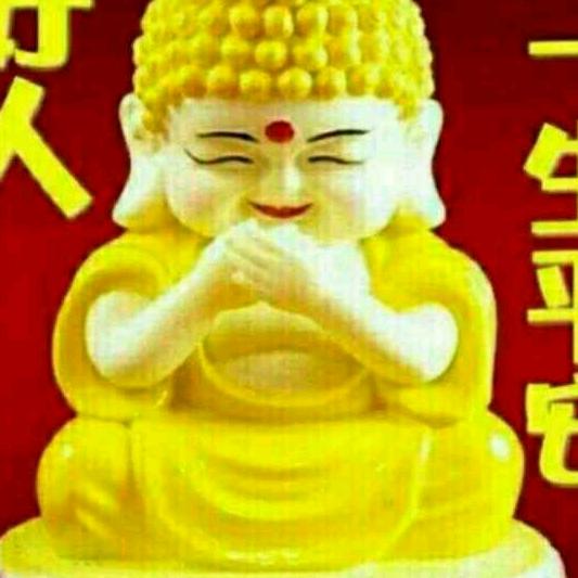 已重置