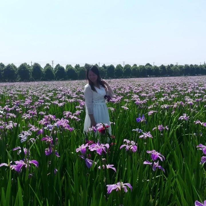 清