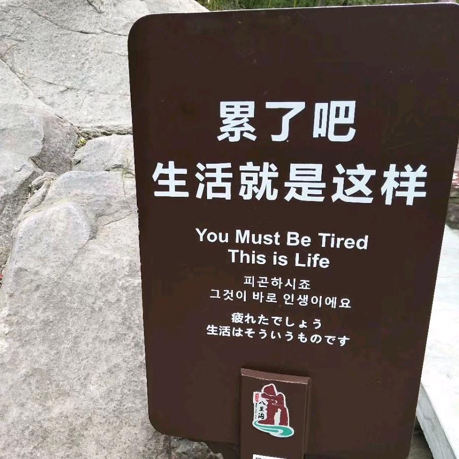 查尔玛® 建筑胶加固胶粘钢胶植筋胶厂