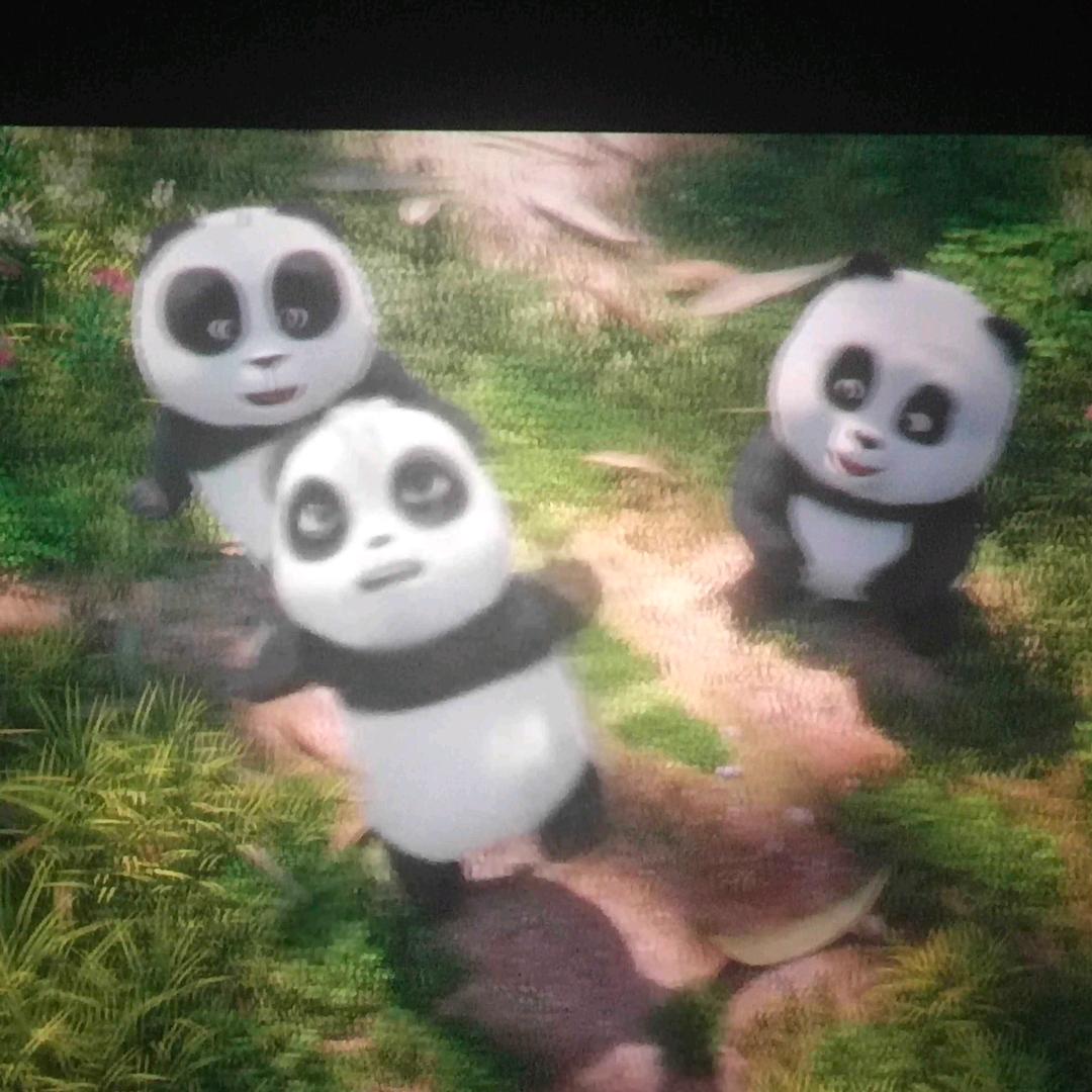 爱豆豆