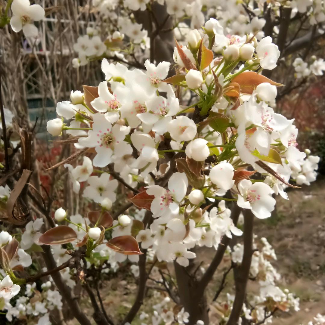 帅气宝贝（拒私聊）