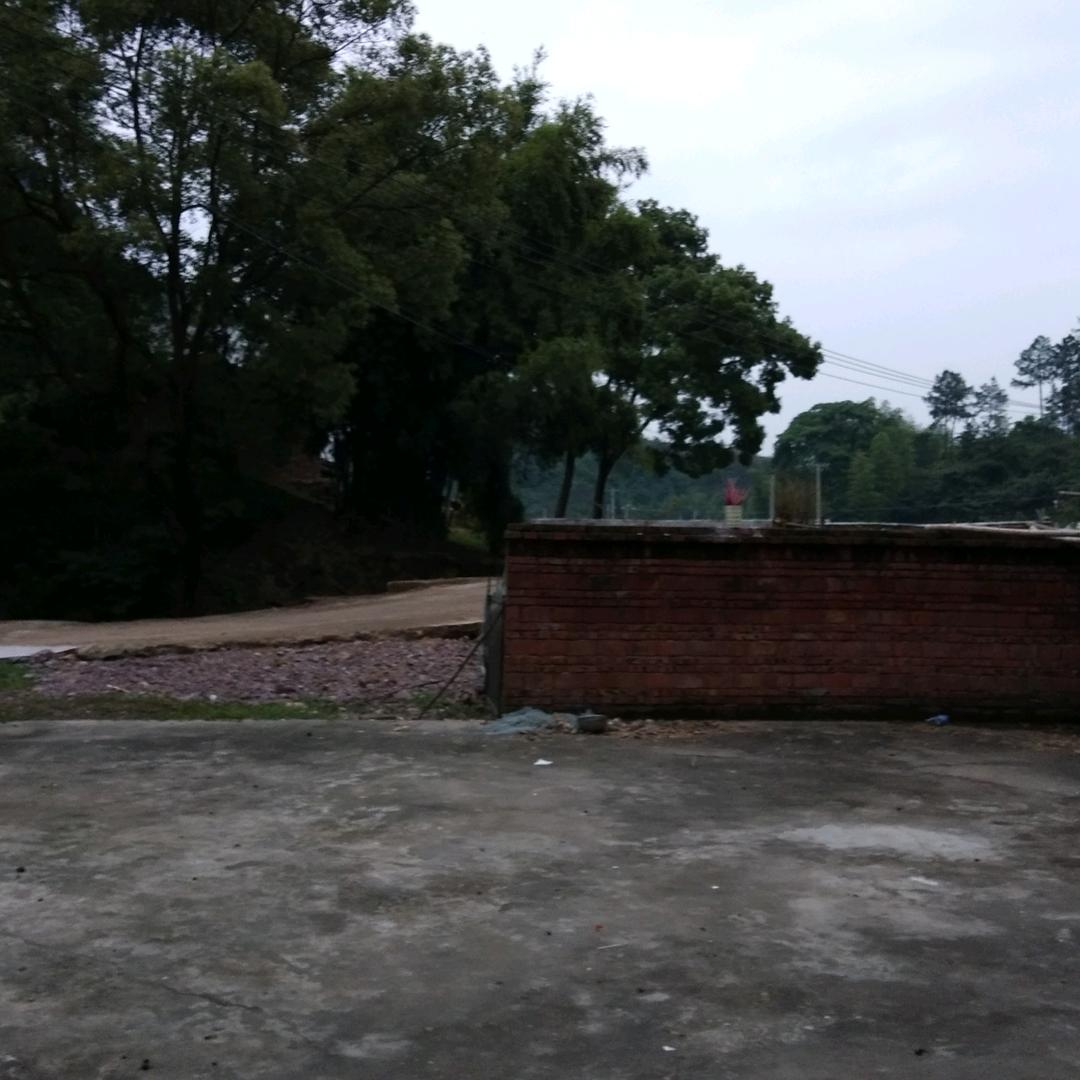 专业打深水井