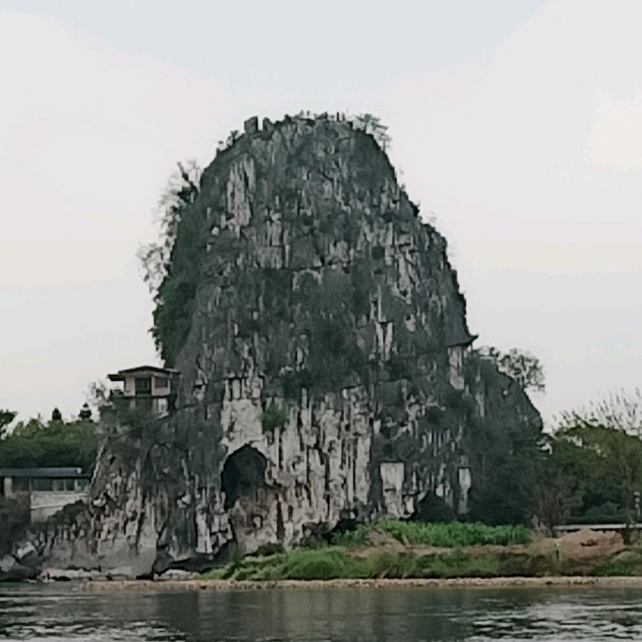 雾里看花