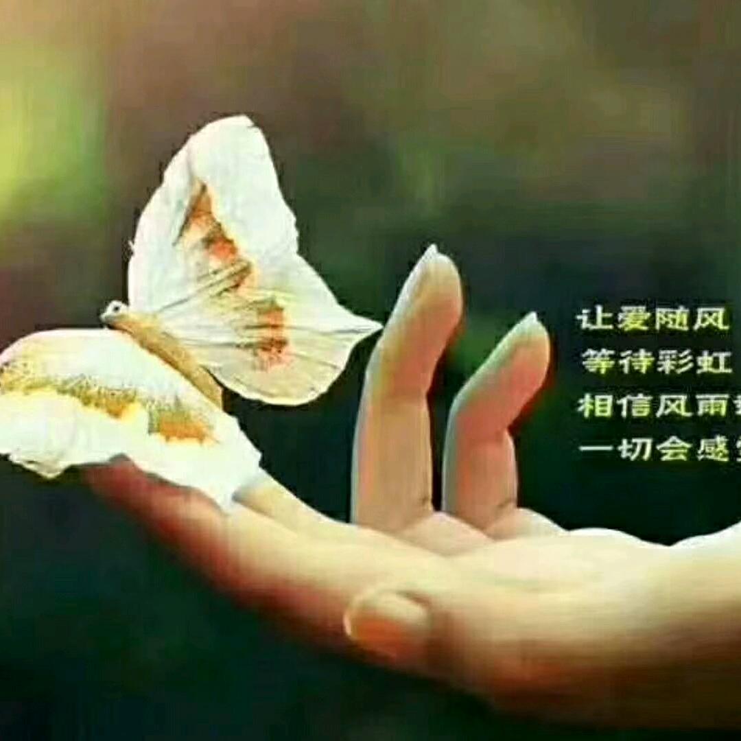 琼…