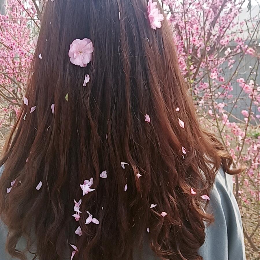 爱颖姐、得永生