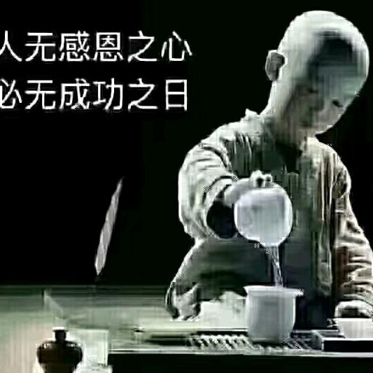 坚持杨龙
