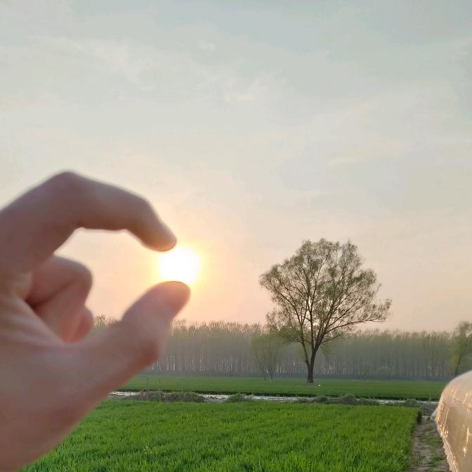 小熊小熊睡到下午