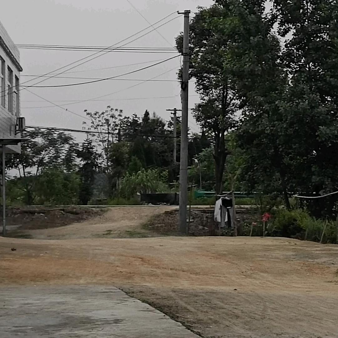 华姐