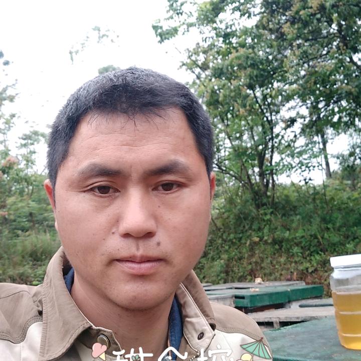 开心蜂哥