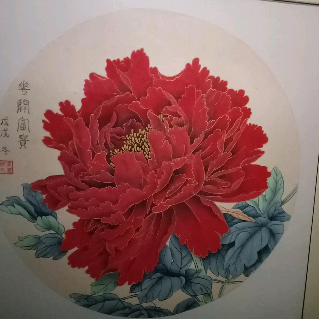 爱惜现有的一切😊！