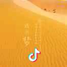 (@ ̄ー ̄@)