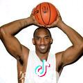 The black mamba