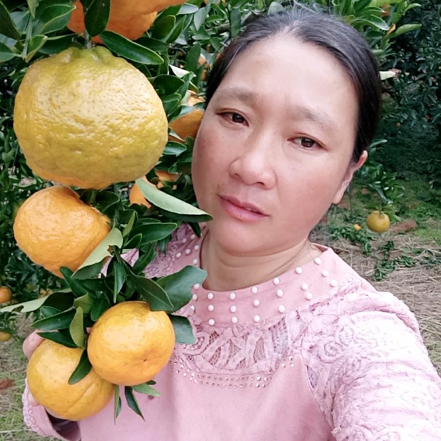 兰花盛开