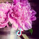 平安健康就是福1958