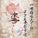 木子木似水