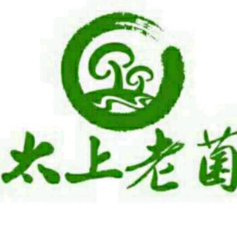 太上老菌总部