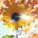 了凡☀️☀️☀️