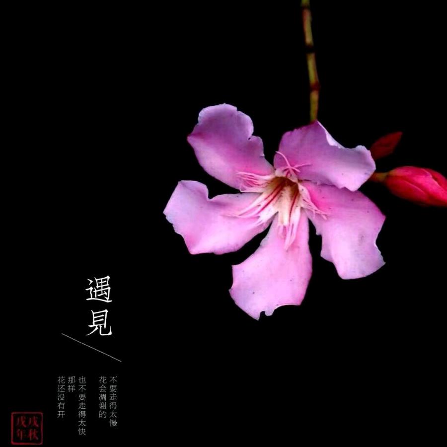 柒月