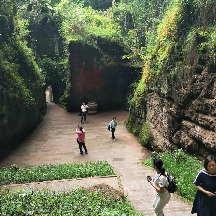 芙蓉小燕