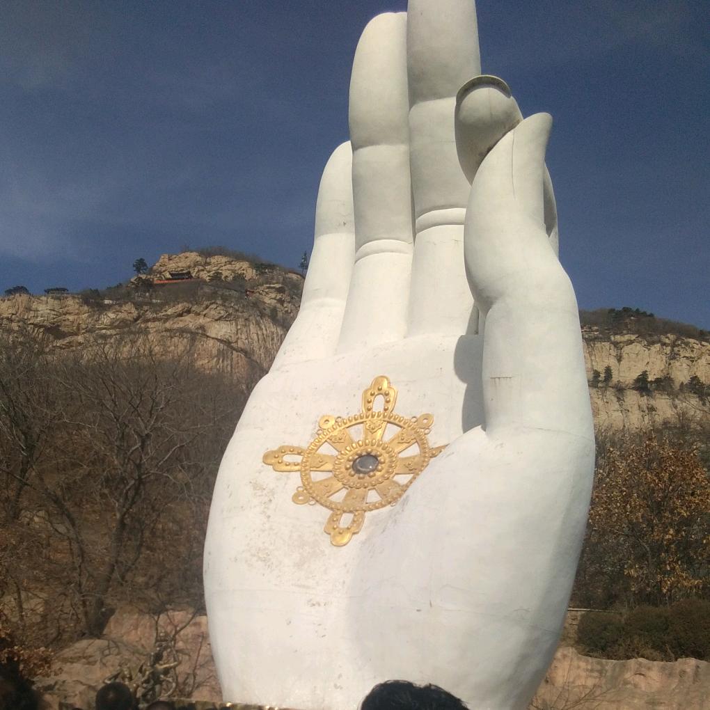 内蒙秋收专业收割团队