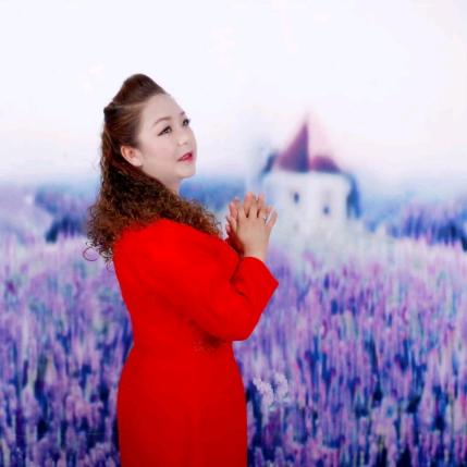 郁金香