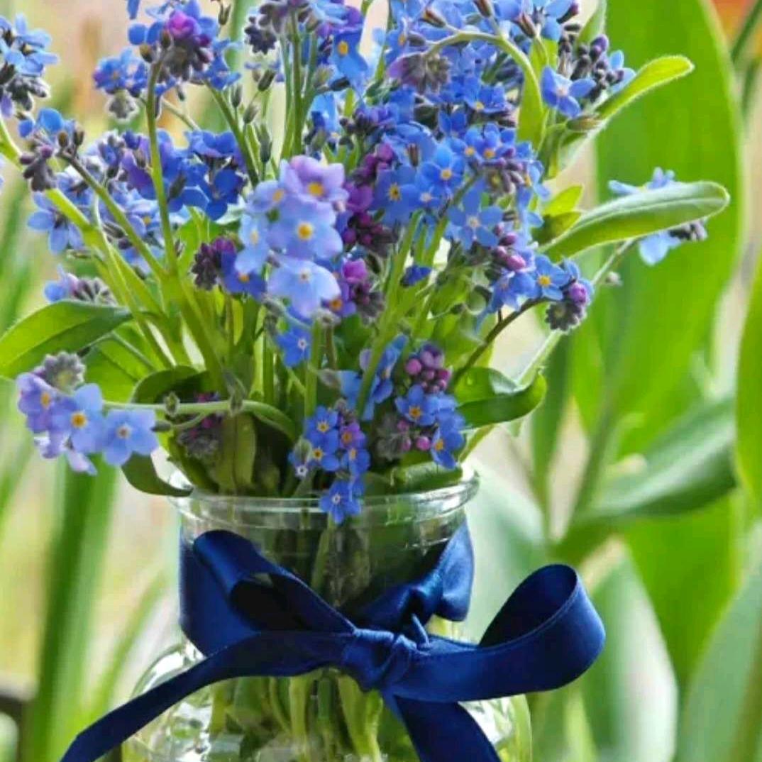 简简单单的幸福生活