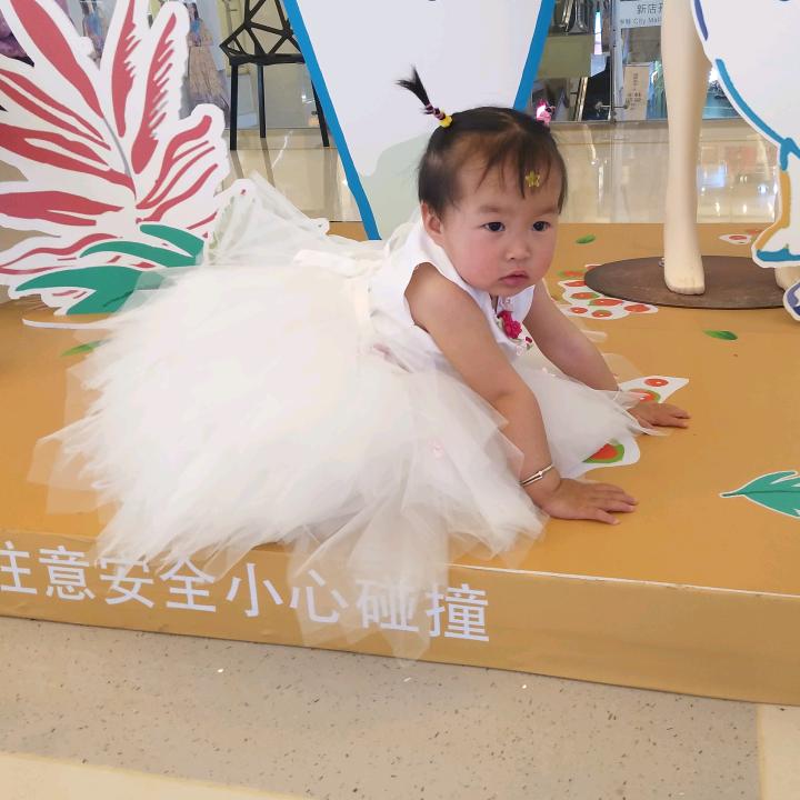 贵州小陈