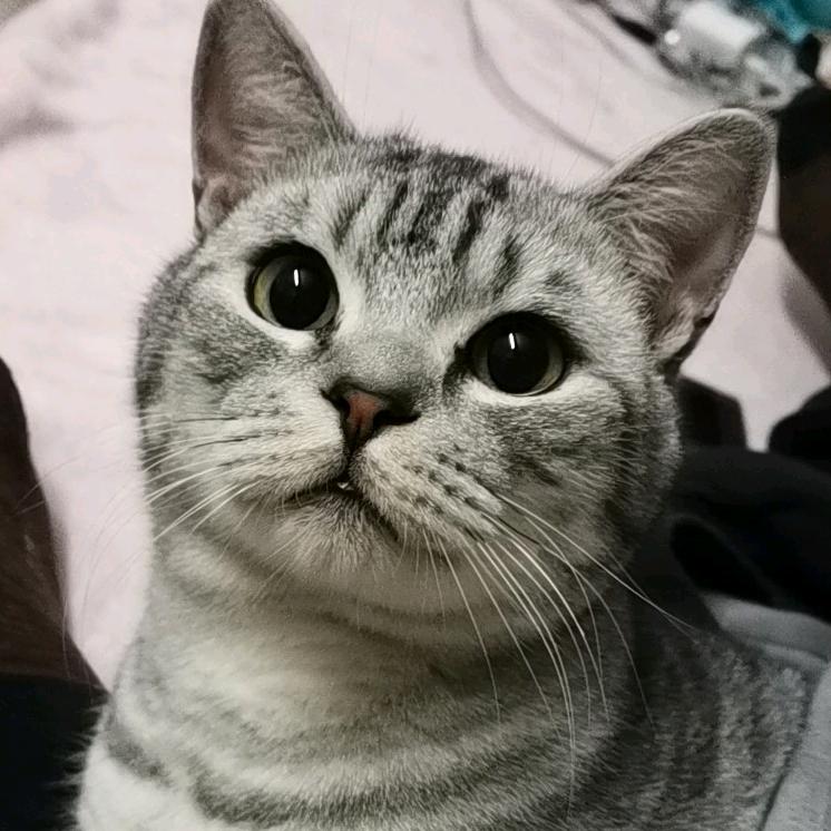 若言
