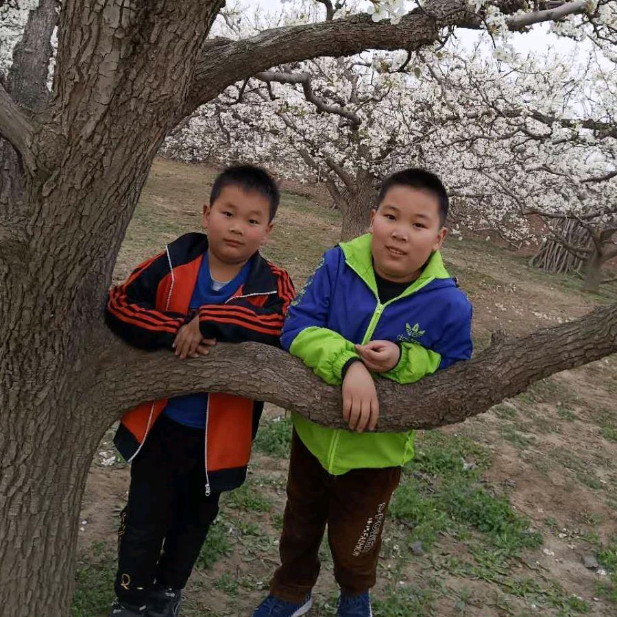 阳光总在风雨后😊