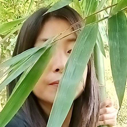 yang  you   feng（凤姐）