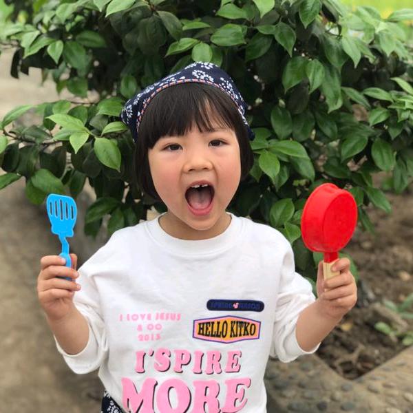 💖阿尔卑斯&