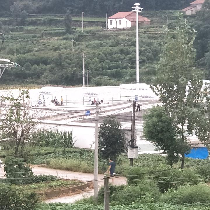 相逢何必曾相识