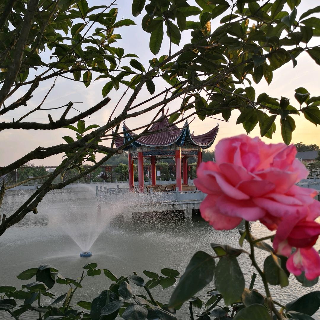 林家咀美丽乡村