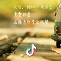 机动车检测