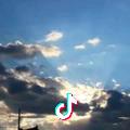 民师杨导