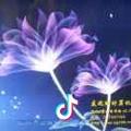 银杏之乡@
