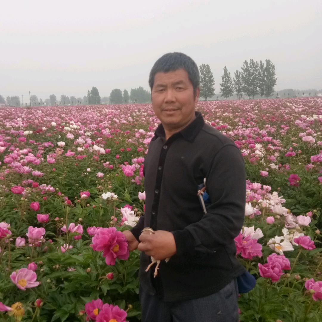 虎霸天下