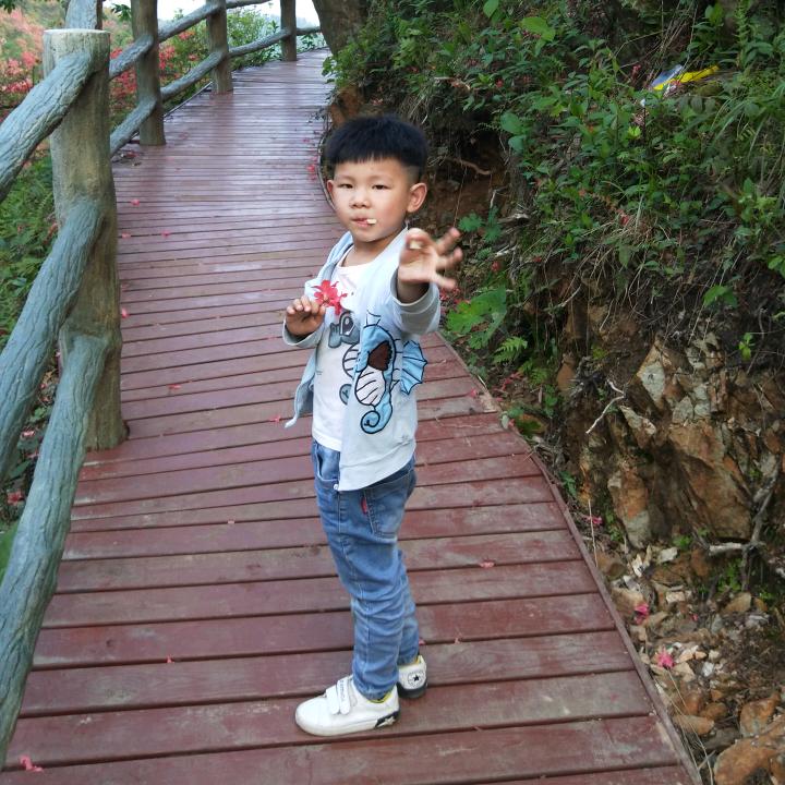 鲁鲁