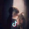 ㅤㅤㅤㅤㅤ