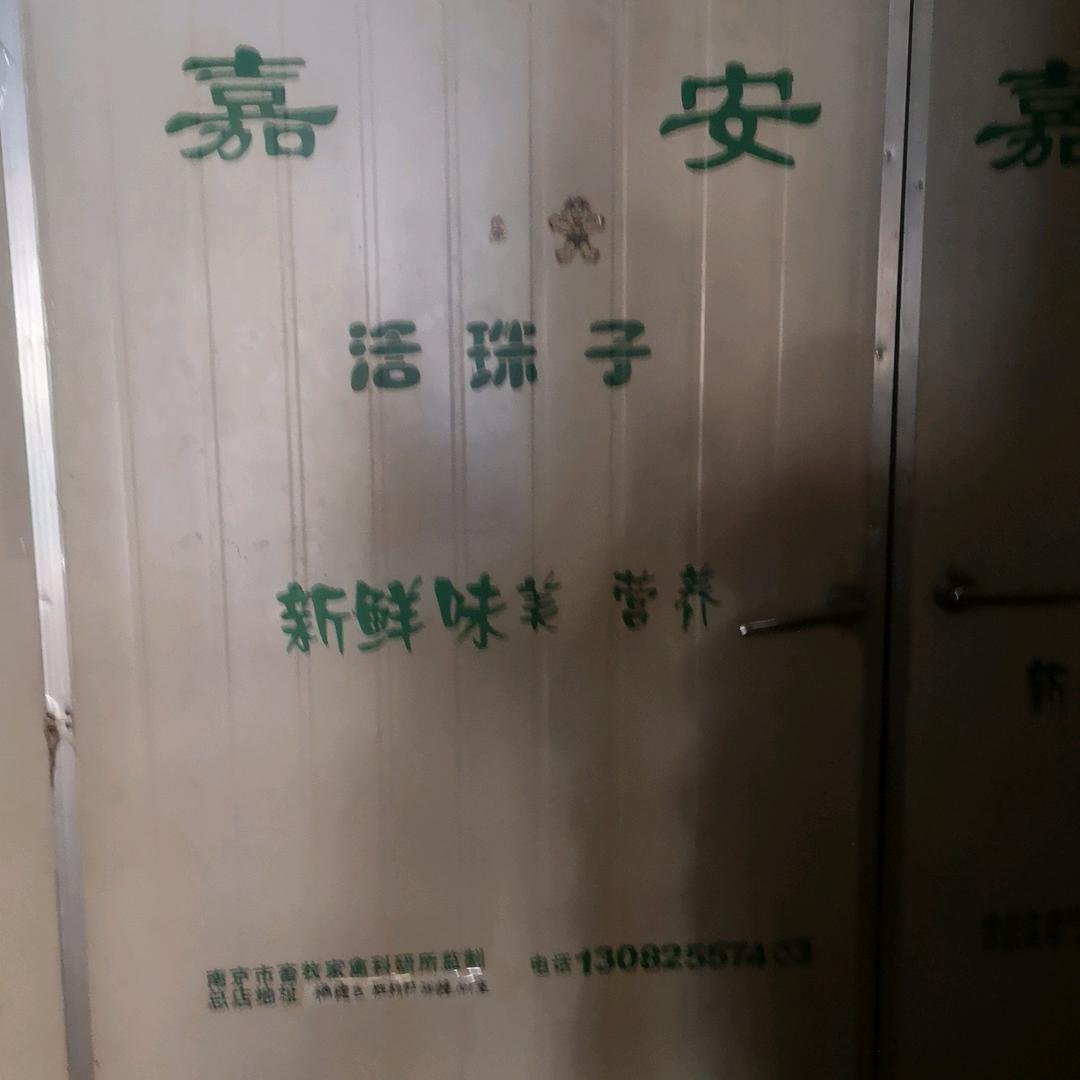 殷启荣活珠子批发