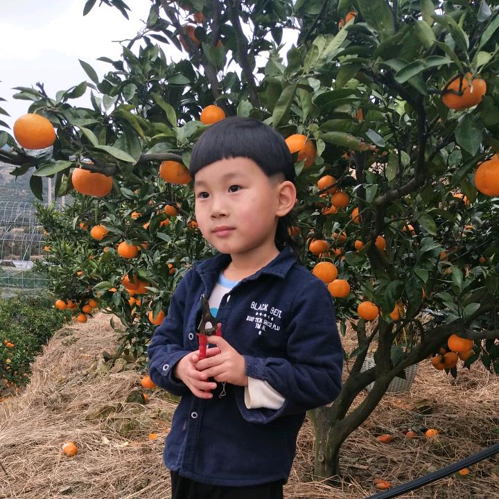 浙江优联电气万能式断路器