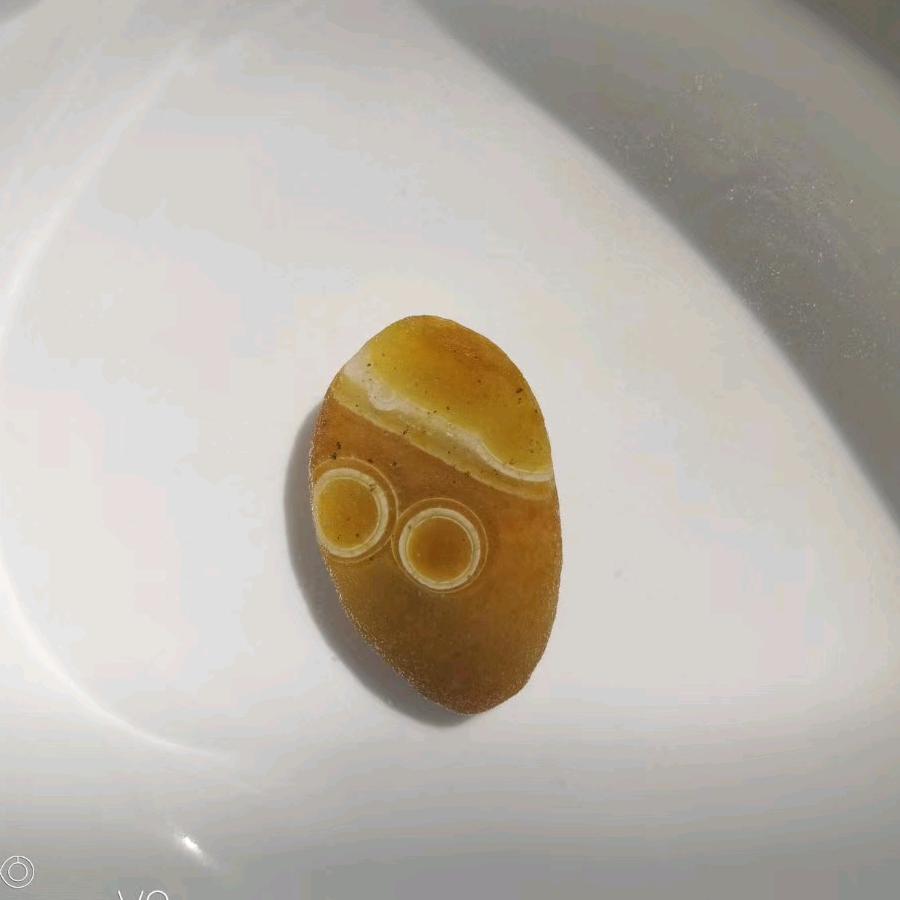 春天